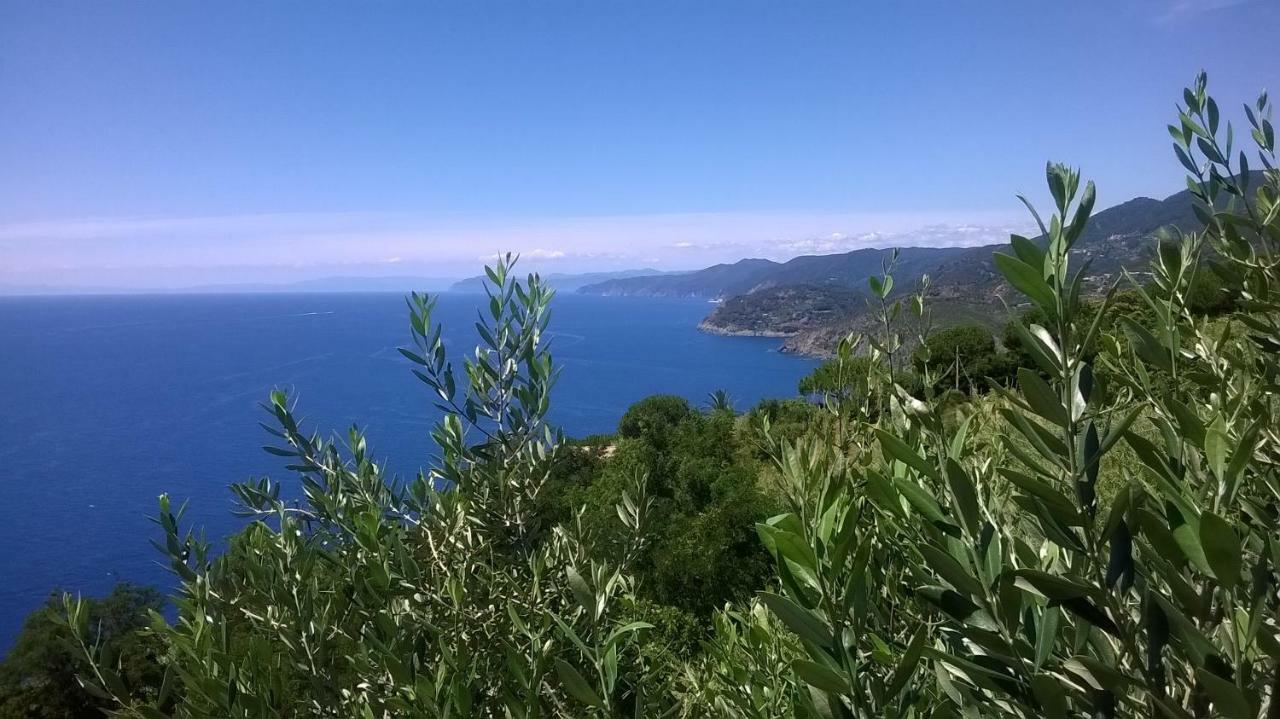 Hotel La Giada Del Mesco Levanto Zewnętrze zdjęcie